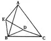 2020年12月17日安徽省亳州市利辛区（中学）数学题(图81)