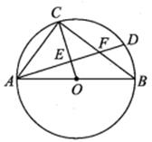 2020年12月27日安徽省亳州市利辛县（小学）数学题(图26)