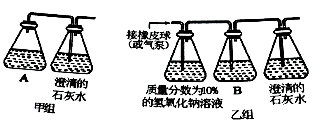 2020年安徽省中小学新任教师公开招聘考试（中学生物）试题(图3)
