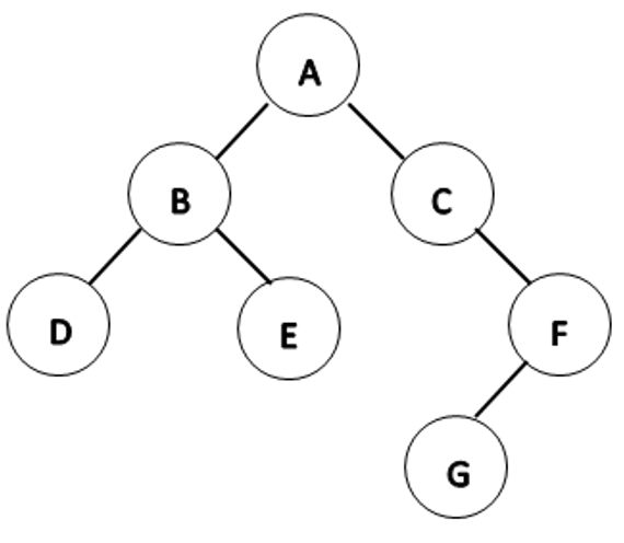 2021年安徽省教师招聘考试《小学信息技术》题(图6)