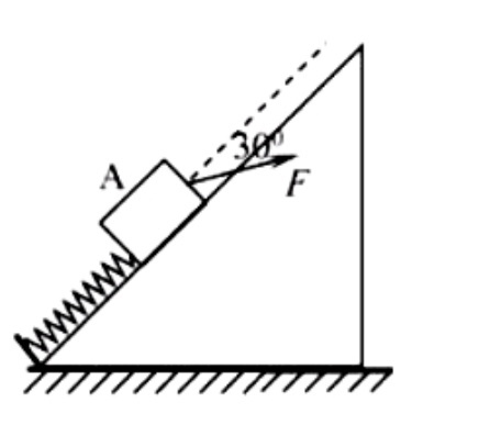 2021年7月17日安徽省桐城市教师招聘《物理学科》考试题(图2)