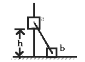 2021年7月17日安徽省桐城市教师招聘《物理学科》考试题(图42)