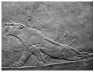 2021年安徽省教师招聘《中学美术》考试题(图8)