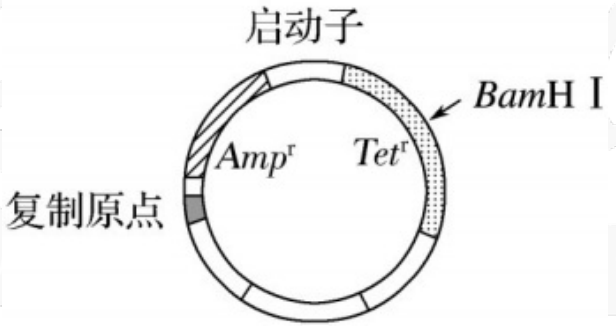 2018年河北省教师招聘《中学生物》考试题(图8)