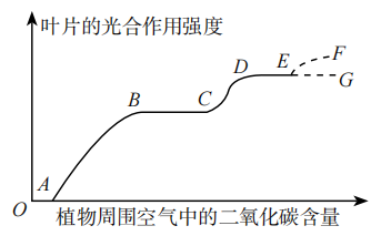 2019年天津市滨海新区教师招聘《中学生物》考试题(图4)