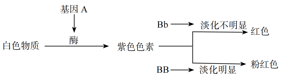 2019年天津市滨海新区教师招聘《中学生物》考试题(图19)