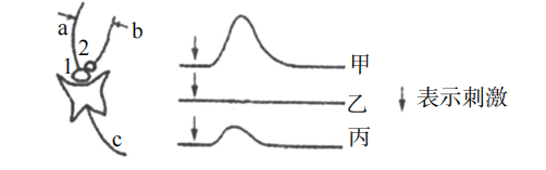 2019年天津市滨海新区教师招聘《中学生物》考试题(图63)