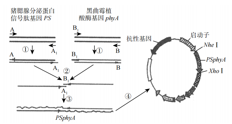 2019年天津市滨海新区教师招聘《中学生物》考试题(图70)