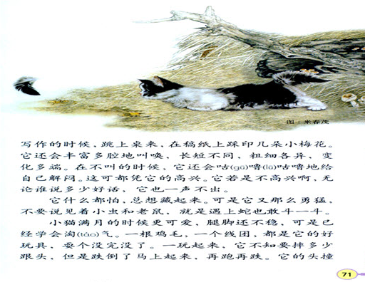 2016年江西省教师招聘考试《小学语文》真题(图2)