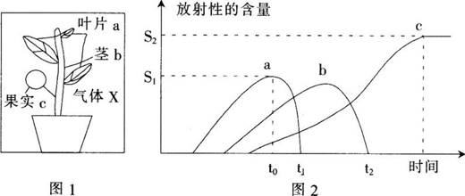 2017年江西省教师招聘考试《中学生物》真题及答案(精选)(图6)