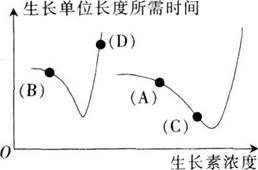 2017年江西省教师招聘考试《中学生物》真题及答案(精选)(图11)