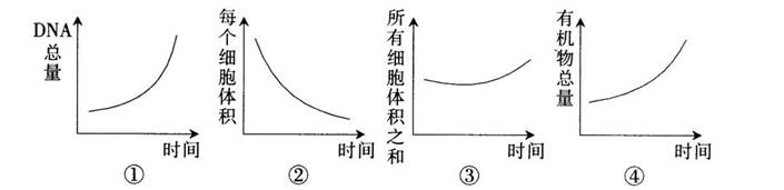 2017年江西省教师招聘考试《中学生物》真题及答案(精选)(图13)
