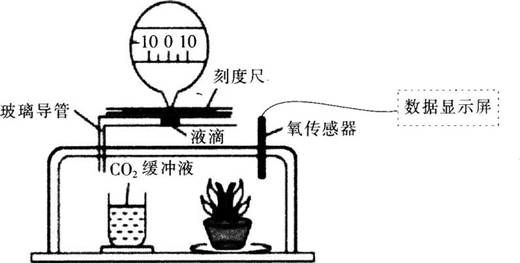 2017年江西省教师招聘考试《中学生物》真题及答案(精选)(图14)