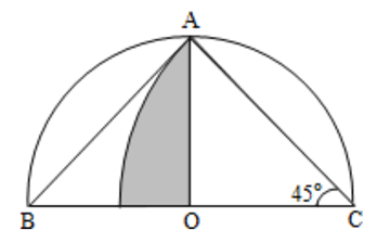 2019年江西省九江市都昌县小学数学题(图50)