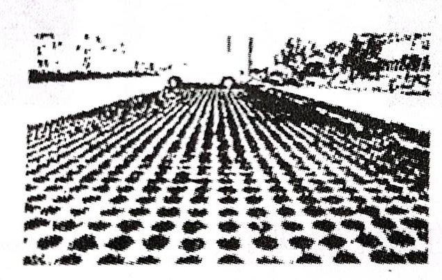 2020年天津市东丽区教师招聘考试题（中学地理）(图18)