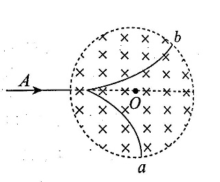 2020年天津市宁河区教师招聘中学物理试卷（精选）(图3)