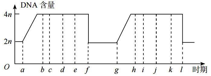 2020年天津市东丽区教师招聘考试中学生物试卷（精选）(图15)