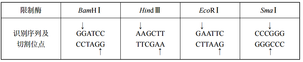 2020年天津市东丽区教师招聘考试中学生物试卷（精选）(图17)