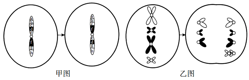 2020年天津市东丽区教师招聘考试中学生物试卷（精选）(图16)