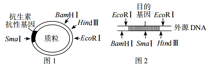 2020年天津市东丽区教师招聘考试中学生物试卷（精选）(图18)