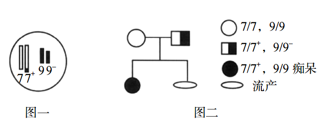 2020年天津市东丽区教师招聘考试中学生物试卷（精选）(图24)