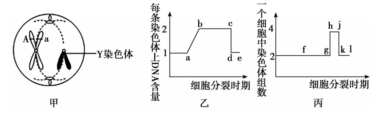 2020年天津市津南区教师招聘《中学生物》考试题(图5)