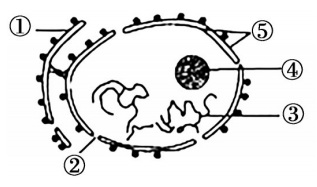 2020年天津市津南区教师招聘《中学生物》考试题(图4)