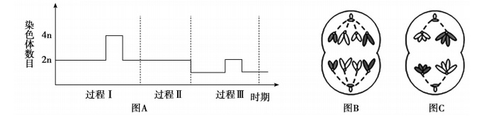 2020年天津市津南区教师招聘《中学生物》考试题(图6)