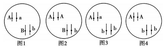 2020年天津市津南区教师招聘《中学生物》考试题(图13)