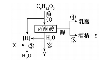 2020年天津市津南区教师招聘《中学生物》考试题(图20)