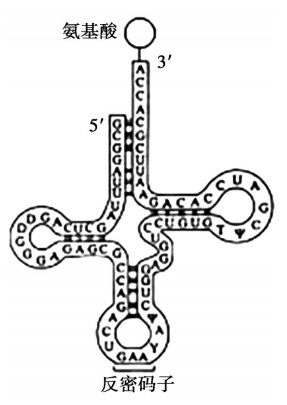 2020年天津市津南区教师招聘《中学生物》考试题(图22)