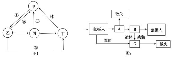 2020年天津市津南区教师招聘《中学生物》考试题(图35)