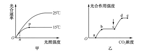 2020年天津市津南区教师招聘《中学生物》考试题(图50)