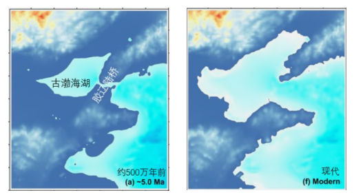 2021年6月26日天津市南开区教师招聘《 地理学科》考试题(图3)