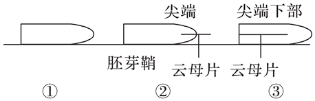 2021年7月14日天津市宁河区教师招聘《生物学科》考试题(图4)