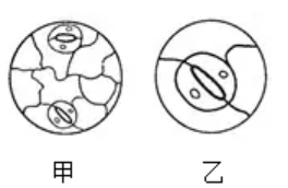 2021年7月14日天津市宁河区教师招聘《生物学科》考试题(图18)