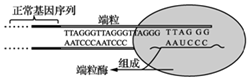 2021年7月14日天津市宁河区教师招聘《生物学科》考试题(图28)