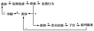 2021年7月14日天津市宁河区教师招聘《生物学科》考试题(图29)