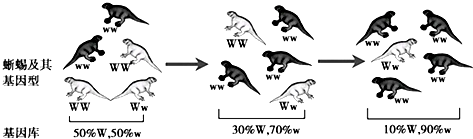 2021年7月14日天津市宁河区教师招聘《生物学科》考试题(图30)