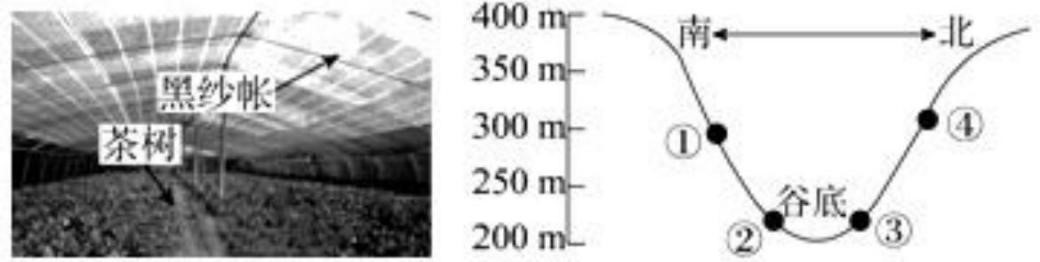 2021年7月17日天津市北辰区教师招聘《地理学科》考试题（精选）(图6)