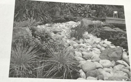 2021年8月2日天津市泰达教师招聘《地理学科》考试题(图15)