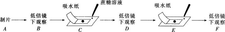 2016年长沙市教育局直属事业单位教师招聘考试《中学生物》真题及答案(图1)