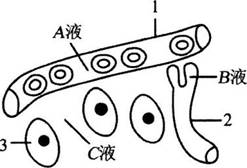 2016年长沙市教育局直属事业单位教师招聘考试《中学生物》真题及答案(图8)