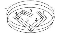 2016年长沙市教育局直属事业单位教师招聘考试《中学生物》真题及答案(图14)