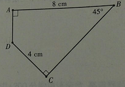 2017年娄底市市直学校教师招聘考试《小学数学》真题及答案(图5)