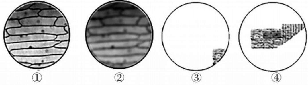 2018年湖南省邵阳市邵东县教师招聘《初中生物》考试题(图1)