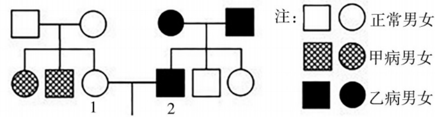2018年湖南省邵阳市邵东县教师招聘《初中生物》考试题(图9)