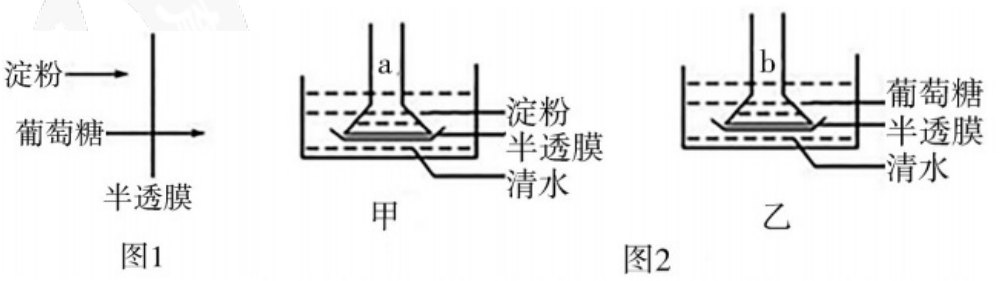 2018年湖南省邵阳市邵东县教师招聘《初中生物》考试题(图6)