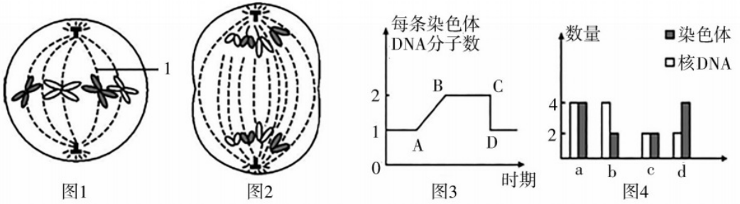 2018年湖南省邵阳市邵东县教师招聘《初中生物》考试题(图7)