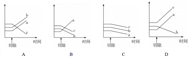 2018年湖南省邵阳市邵东县教师招聘《初中生物》考试题(图10)